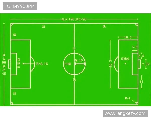 篮球新手必看：从团队协作入门到实战技巧的全面指南