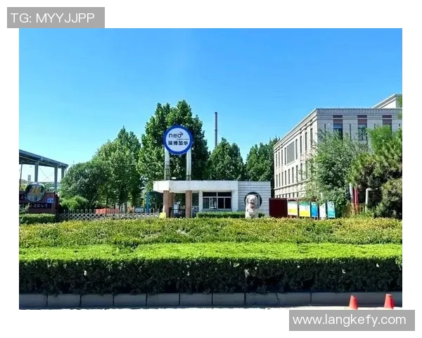 重庆乒乓球队整体压制革新之路探秘与未来展望